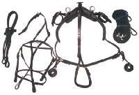 Horse Harness