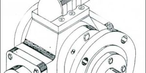 Rotary Gear Pump (DIBX)