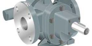 Rotary Gear Pump (DIRNXJ)