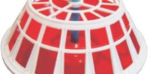 Jumbo Female Parent Feeder