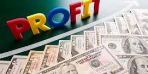 NON PROFIT MAKING ORGANIZATIONS