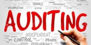 STATUTORY & INTERNAL AUDITS