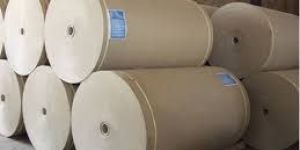 White Top Kraft Liner