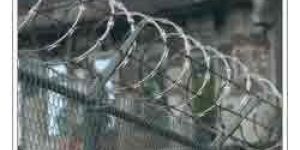 Barbed Razor Wire