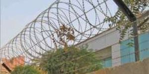 Coil Fencing Installation Service