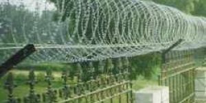 Concertina Cross Razor Wire