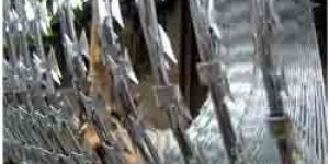 Razor Wire