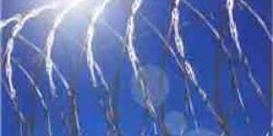 Single Coil Razor Wire