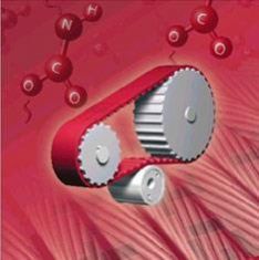 Variable Speed Belts