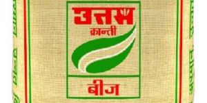 BOPP Laminated PP Woven Sacks