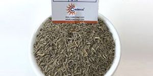 Cumin Seeds