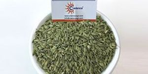 Fennel Seeds