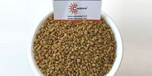Fenugreek Seeds