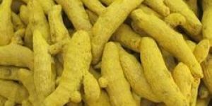 Finger Turmeric