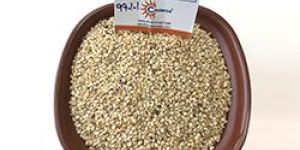 Natural Sesame Seeds