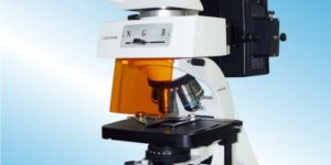 Binocular Fluorescent Microscope