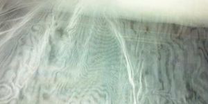 Polyester Dress Material 01