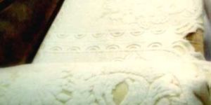 Polyester Sofa Cover 04