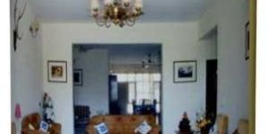 Luxury Emulsion Paint