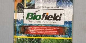 Multicolor Printed HDPE Woven Bag