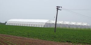 Naturally Ventilated Greenhouse