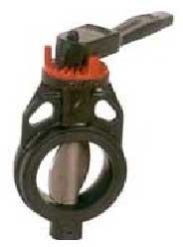 Butterfly Valve