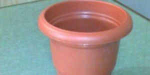 Fancy Green Planter - 12