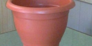 Nursery Green Planter