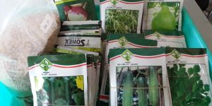 Agro Seeds