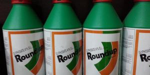 Glyphosate Pesticide