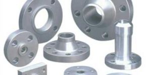 310 Grade SS Flanges