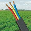 Submersible Cable