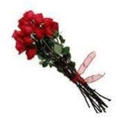 12 Red Rose Bouquet