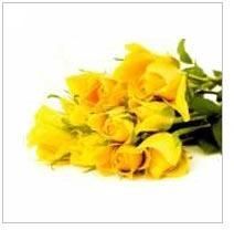 12 Yellow Rose Bouquet