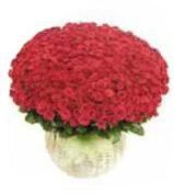 200 Red Rose Basket