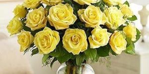 36 Yellow Rose Bouquet