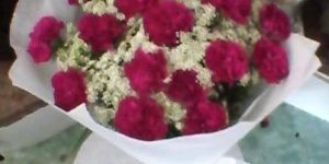 Purple Carnation Flower Bouquet