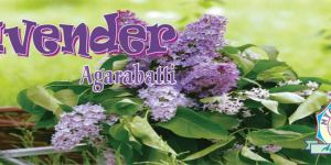 Lavender Agarbatti