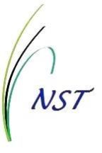 Nokia - Mobile Charger Nacp-12