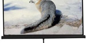 Tripod Projector Screen