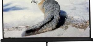 Tripod Projection Screen