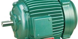 Electric Induction Motor