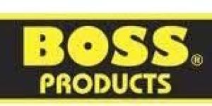 Boss Silicone Sealant