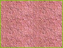 Dehydrated Red Onion Powder