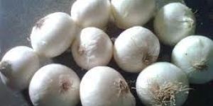 Fresh White Onion