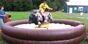 Rodeo Bull