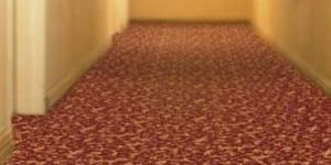 Broadloom Carpets Carus