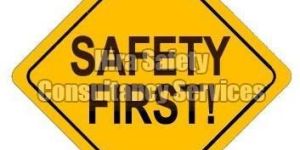 OCCUPATIONAL HEALTH AND SAFETY SERVICES