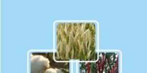 Provita Balanced Organic Food