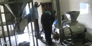 Sugar Grinding Plant